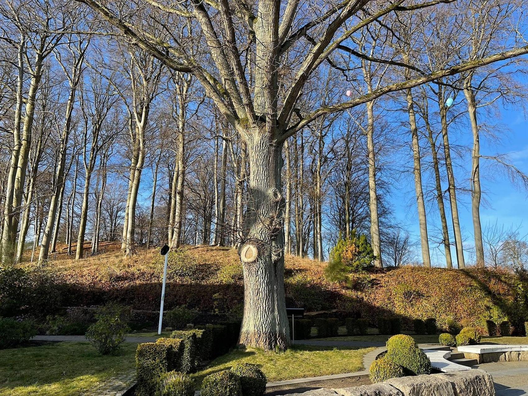 Fewo Wilhelmine Villa Sonneck Sellin  Buitenkant foto
